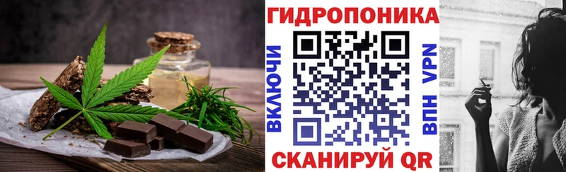 купить наркотики цена  Тогучин  MEGA ТОР  Еда ТГК конопля 