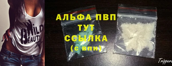 ГАЛЛЮЦИНОГЕННЫЕ ГРИБЫ Нязепетровск