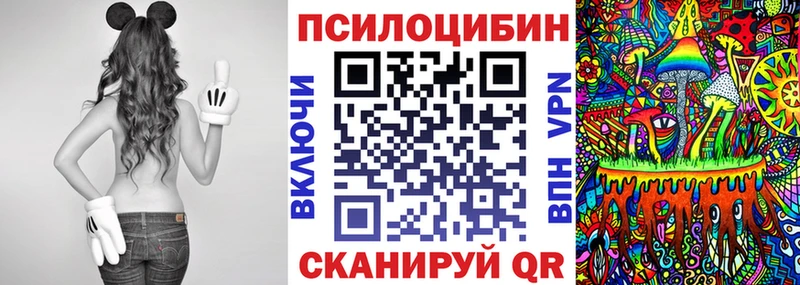 Псилоцибиновые грибы Cubensis Тогучин